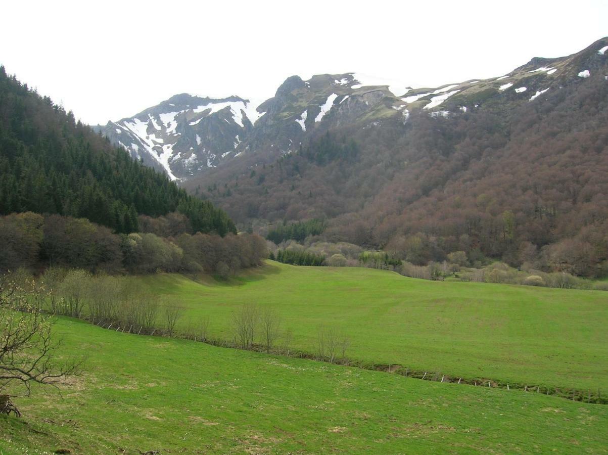 Le Monne Villa Chambon-sur-Lac Luaran gambar