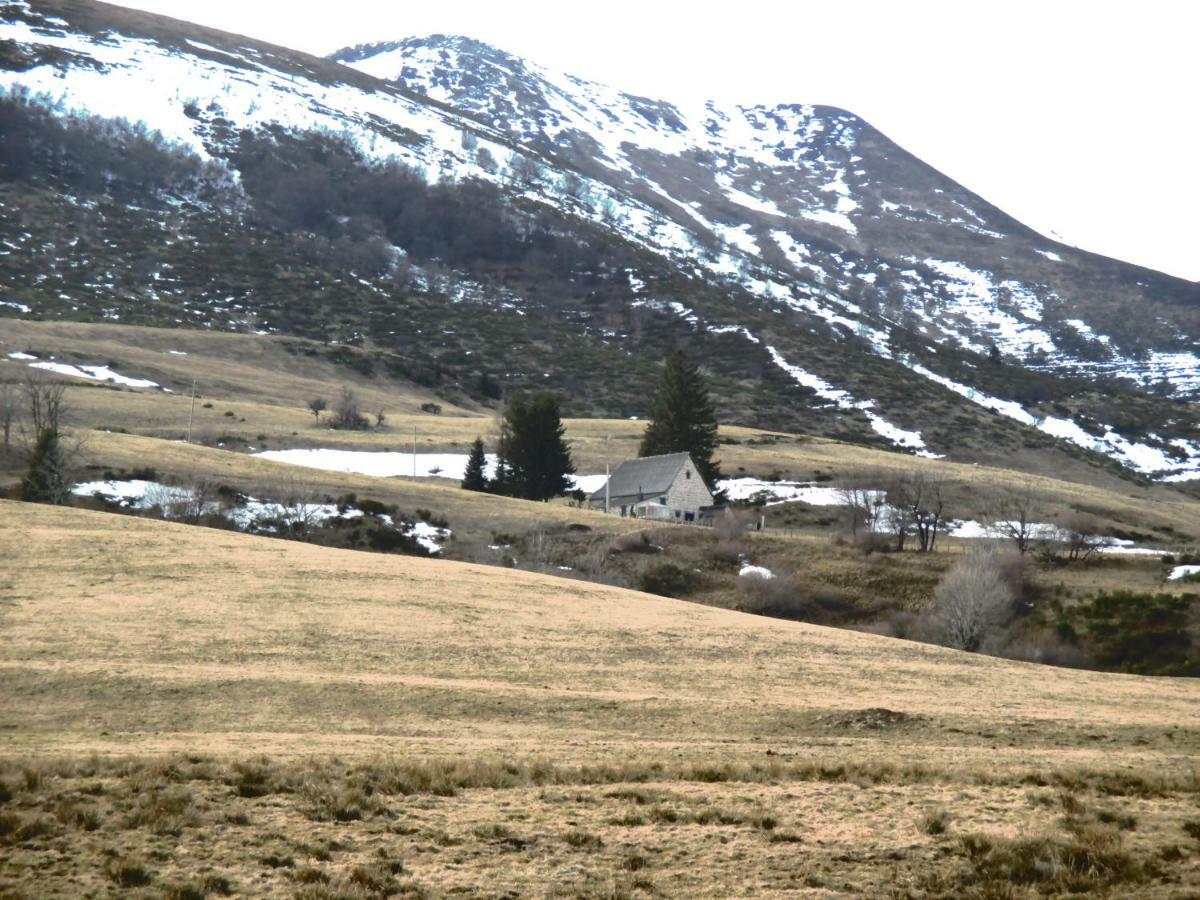 Le Monne Villa Chambon-sur-Lac Luaran gambar